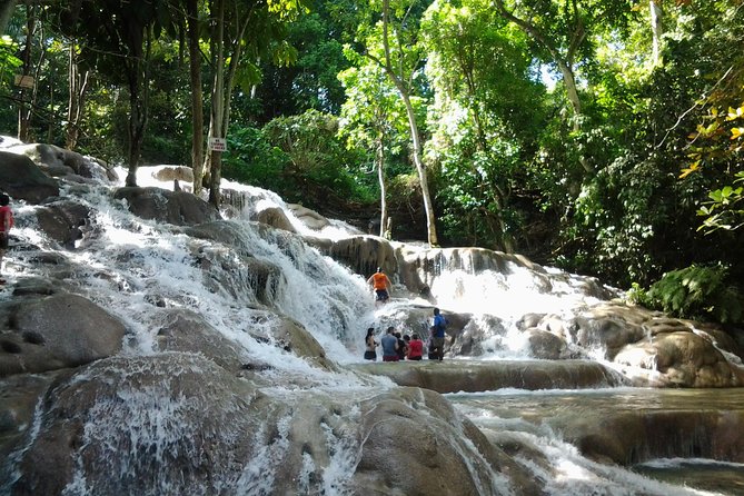 Blue Hole, Dunn's River Falls Luminous Lagoon Excursion From Montego Bay - Blue Hole (Secret Falls): Rope Swings, Caves, and Tarzan-Style Fun