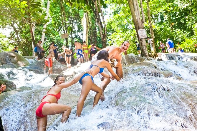 Blue Hole/ Dunn's River Falls & Luminous Lagoon (Glistening water) 3 in 1 combo - Transportation, group size, and pacing that won’t leave you guessing