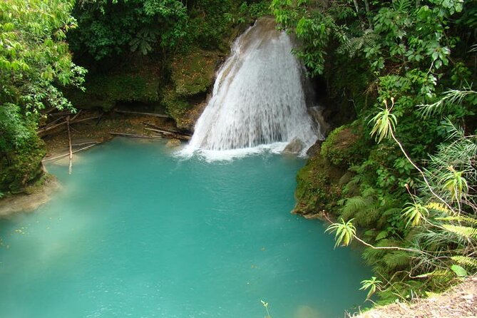 Blue Hole & Konoko Falls Park Combo Tour from Montego Bay - A Private Day Built Around Water, Animals, and Real Jamaica