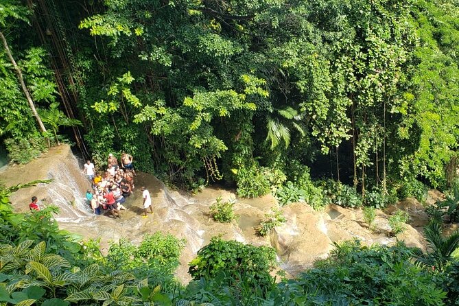 Blue Hole & Konoko Falls Park Combo Tour from Montego Bay - Konoko Falls & Park: Waterfalls, Plants, and Wildlife Spotting