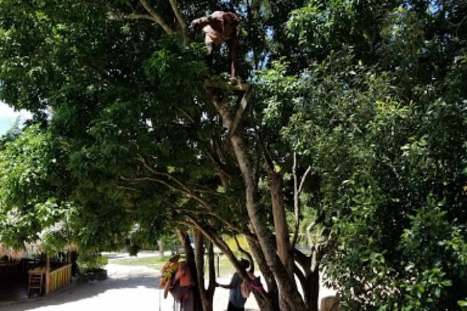 Blue Hole Mineral Spring and Ricks Cafe Private Tour - Price and value: what $160 per person really buys you