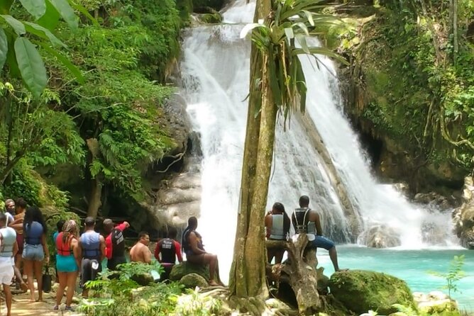 Blue Hole/Secert falls and Dunns River Combo Tour - Should You Book the Blue Hole / Secret Falls and Dunn’s River Combo?