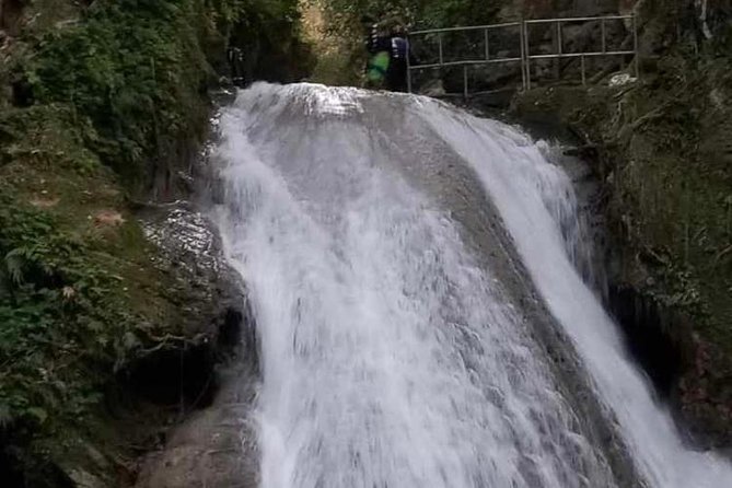 Blue Hole Secret Falls and Bob Marley Nine Mile Private Tour - Price and value: what $195.11 per person really covers