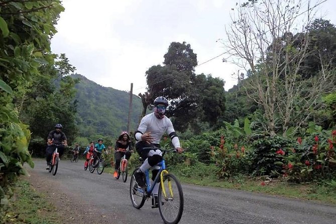 Blue Mountain Bicycle Tour from Montego Bay - A Full-Day Downhill Ride in Jamaica’s Blue Mountains