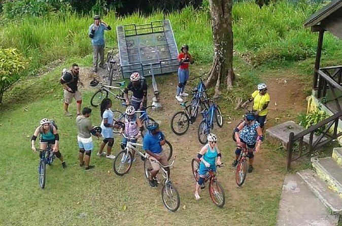 Blue Mountain Bicycle Tour from Montego Bay - Safety, Pace, and Who This Suits Best