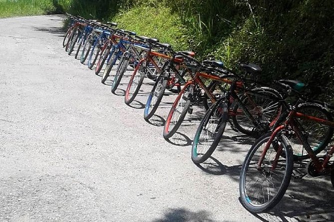 Blue Mountain Bicycle Tour from Montego Bay - Price and Value: What $192.31 Gets You in Real Terms