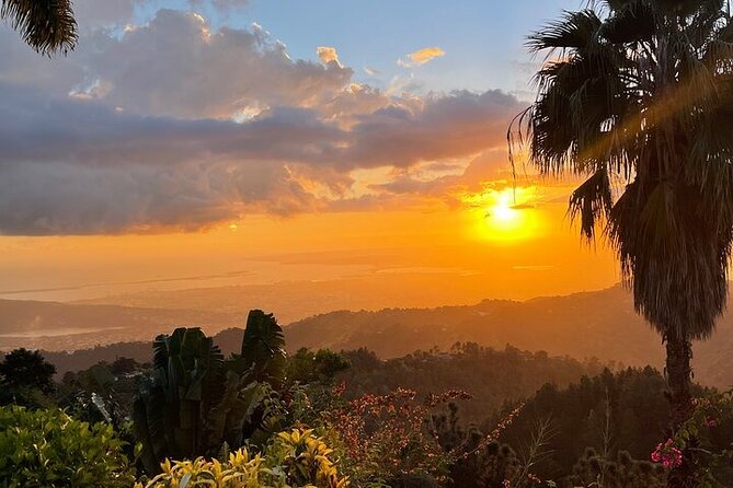 Blue Mountain Coffee, Bob Marley and Art Tour from Montego Bay - Bob Marley Museum: worth it when you like stories, not just photos
