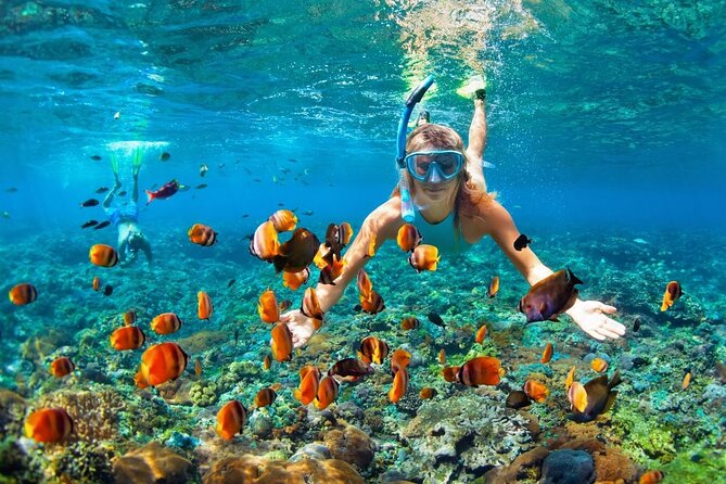 Boatride & Snorkeling then Margaritaville Hipstrip Activity - Quick hits before you book
