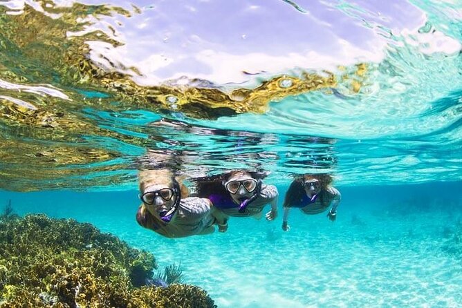 Boatride & Snorkeling then Margaritaville Hipstrip Activity - Boat Ride and Snorkeling: How the Reef Time Works