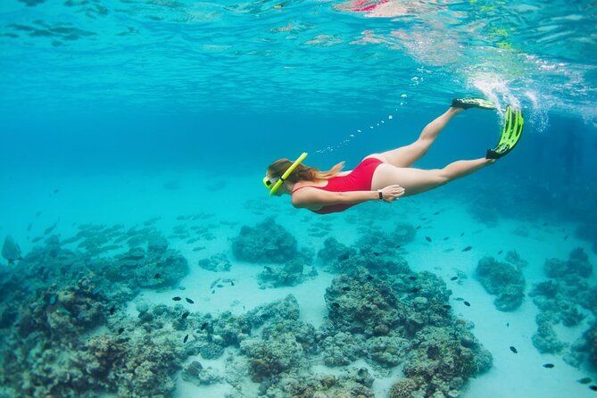 Boatride & Snorkeling then Margaritaville Hipstrip Activity - Small Group Size: The Hidden Advantage