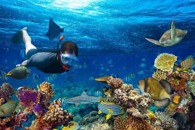 Boatride & Snorkeling then Margaritaville Hipstrip Activity - What to Bring (So You’re Not Counting on Extra Help)