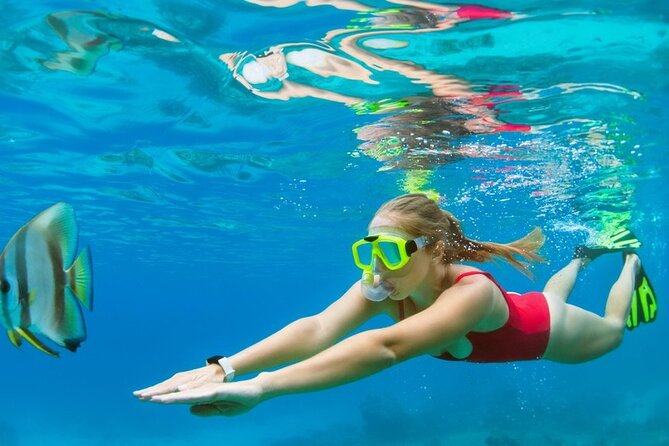 Boatride & Snorkeling then Margaritaville Hipstrip Activity - Who You’ll Meet: Drivers and Water Guides That Set the Tone