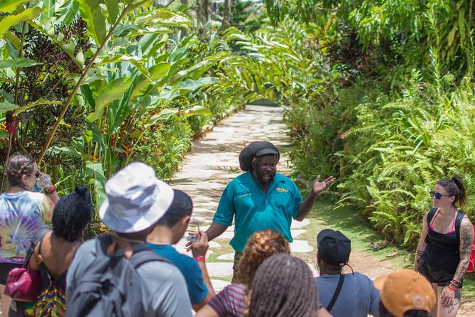 Bob Marley 9 Mile Tour Admission - Shoes, hillside paths, and small practical gotchas