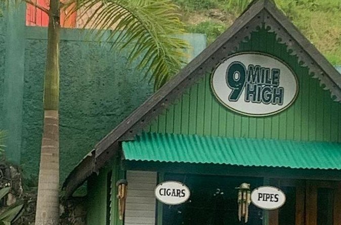 Bob Marley Mausoleum Nine Mile Tour from Montego Bay - Private tour setup: better pacing for couples and families