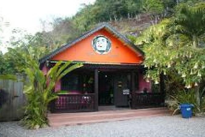 Bob Marley Mausoleum Tour, Nine Miles Jamaica from Montego Bay - From Montego Bay to Nine Mile: The 9:00 am Mountain Drive