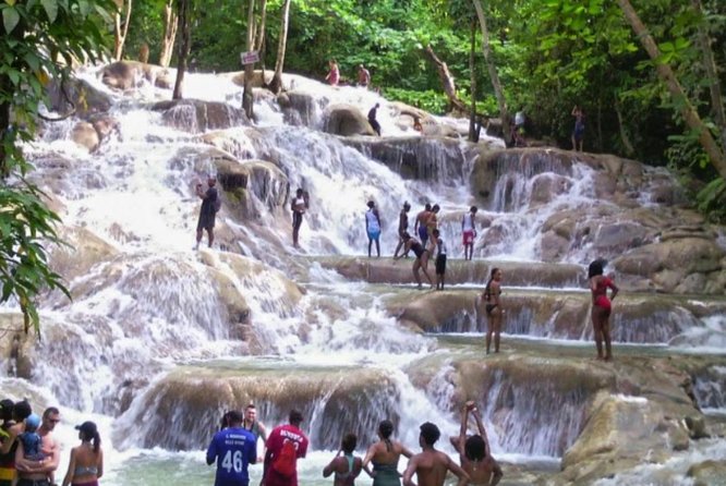 Bob Marley Nine Mile and Dunn's River Falls Tour From Montego Bay - Commentary and Company: What the Best Guides Add