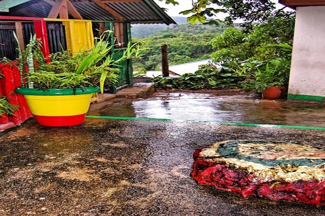 Bob Marley Nine Mile Tour - From Montego Bay - Tips to make the ride and visit smoother