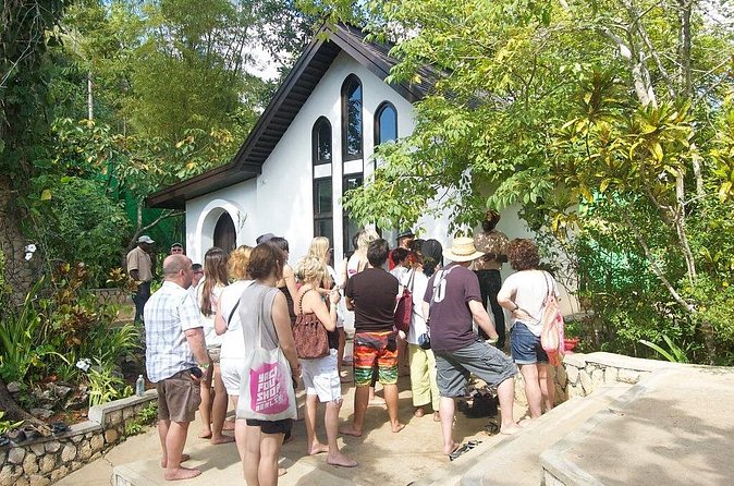 Bob Marley Nine Miles, sightseeing and local food and fruit stop - What this tour is best for