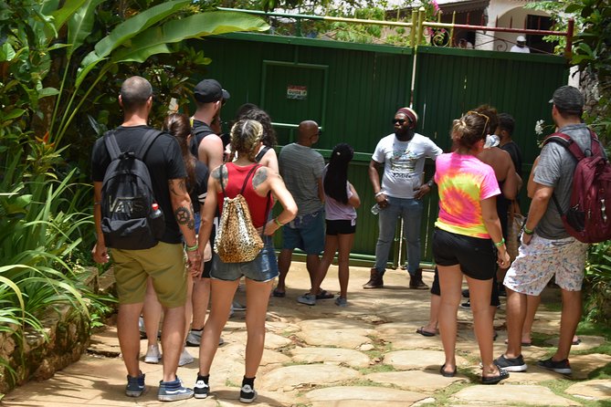 Bob Marley's Nine Mile Admission and Guided Tour from Montego Bay - What this day trip really gives you