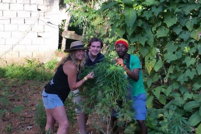 Bob Marley's Nine Mile & Dunns River Falls Tour: Transportation & Ticket - The day’s pacing: a 6–8 hour itinerary that leaves room to breathe