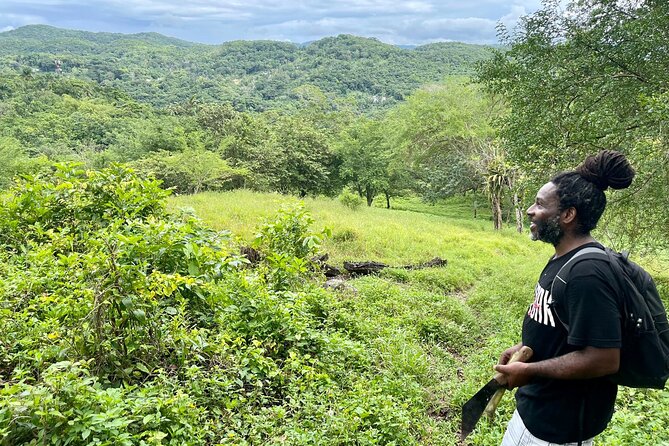 Bush Hiking to explore Wild Plants & Fresh Fruits,Montego Bay - Natural Spring Waterfall: Cooling Off in Crisp Water