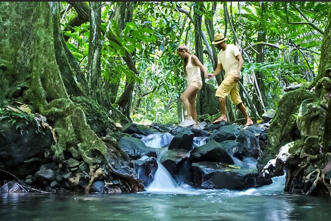 Bush Hiking to explore Wild Plants & Fresh Fruits,Montego Bay - Price and Logistics: What $160 Buys You in Montego Bay