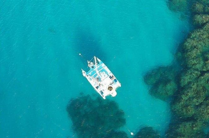 Catamaran, snorkeling & Dunn's River Falls - Dunn’s River Falls climb: guided, famous, and surprisingly fun
