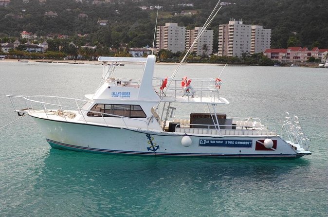 Certified 2-Tank Scuba Diving Tour from Montego Bay - Montego Bay 2-Tank Scuba Tour: what you’re really buying