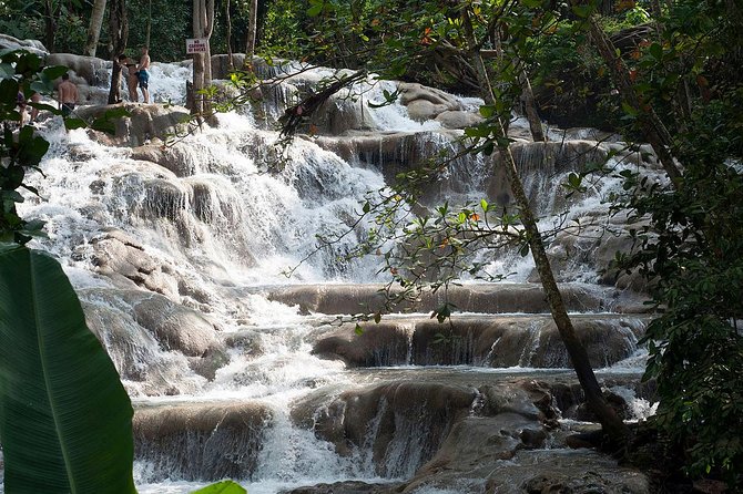 Chuck Norris Secret Falls and Dunn's River Falls - Price and What You’re Paying For at $185