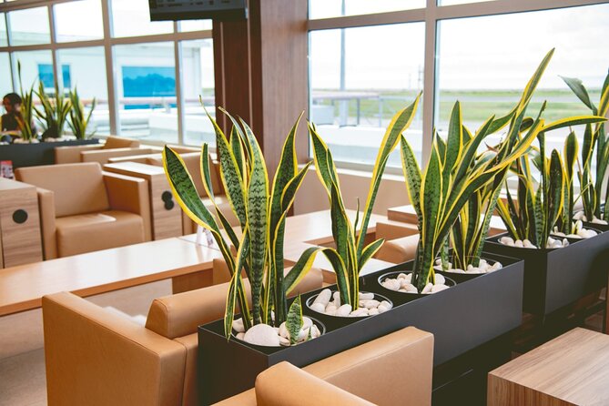 Club Mobay Sangster Airport VIP Lounge with Priority Entry - Who should book Club Mobay at Montego Bay (and who might skip it)