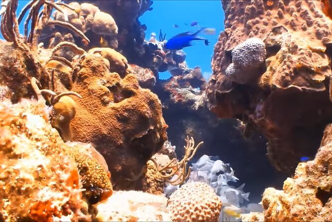 Customize Snorkeling with Option shopping Lunch & Stop local food - Gear fitting and the calm, practical vibe