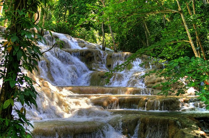 Day Trip to Dunn's River Falls from Montego Bay - Price and value: what $135.40 really covers