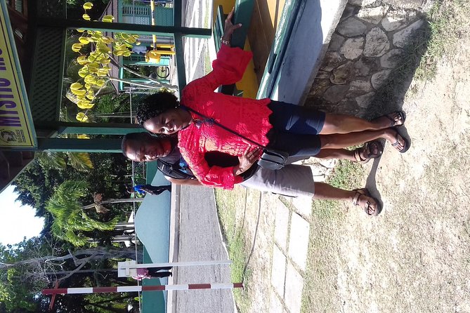 Day Trip to Dunn's River Falls from Montego Bay - Hotel pickup and the A/C minivan drive along Jamaica’s North Coast