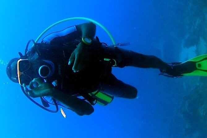 Discover Scuba Diving in Montego Bay-ONE Tank (First time Diving) - What you’ll see: coral, fish, and controlled comfort