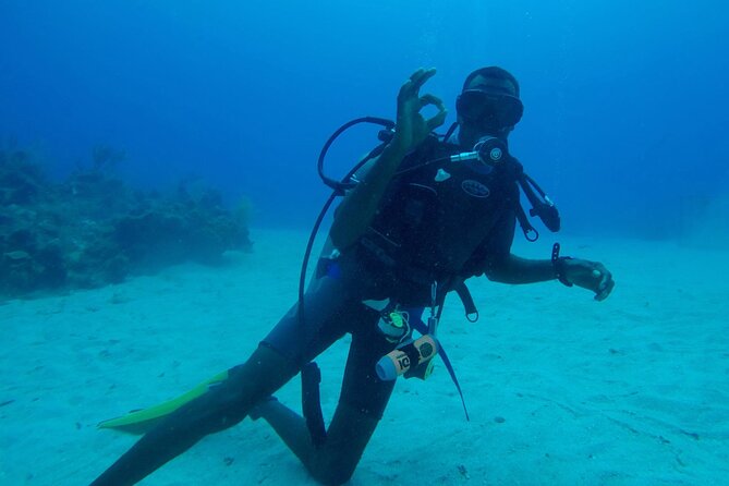 Discover Scuba Diving in Montego Bay-ONE Tank (First time Diving) - Price value: is $169.99 a good deal?