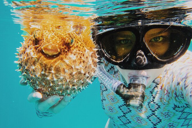 Discover Scuba Diving in Montego Bay-ONE Tank (First time Diving) - Gear, bottled water, and why the small group matters