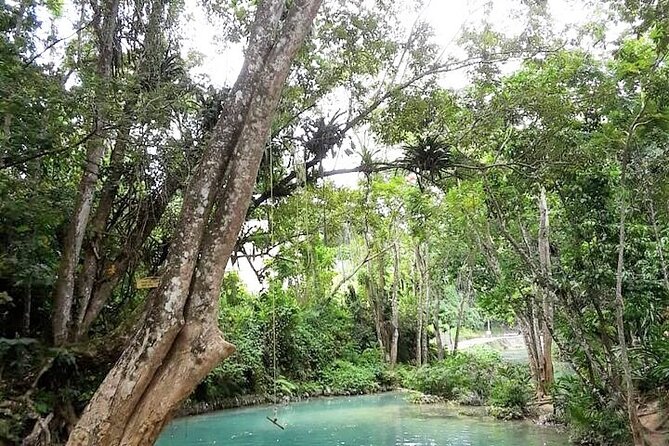 Dunn's Falls and Blue Hole Daytrip with Lunch from Montego Bay & Trelawny - Key highlights