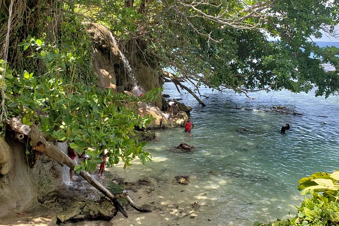 Dunn's Falls and Blue Hole Daytrip with Lunch from Montego Bay & Trelawny - Price and Value at $135 Per Person