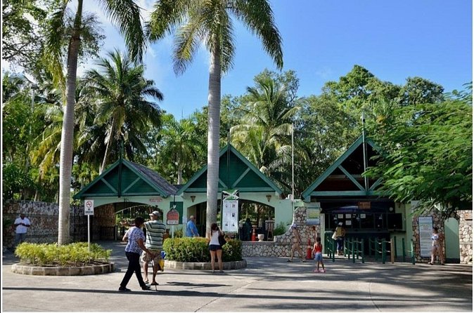 Dunn's River Fall's - What it’s like with Hi-Tech Tours