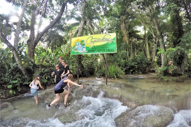 Dunn's River Falls and Ocho Rios Shopping Tour from Montego Bay Hotels - Dunn’s River Falls Is the Real Reason to Book