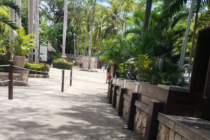 Dunn's River Falls & Blue Hole Tour from Montego Bay - Dunn’s River Falls: 55 Meters of Water You Actually Climb