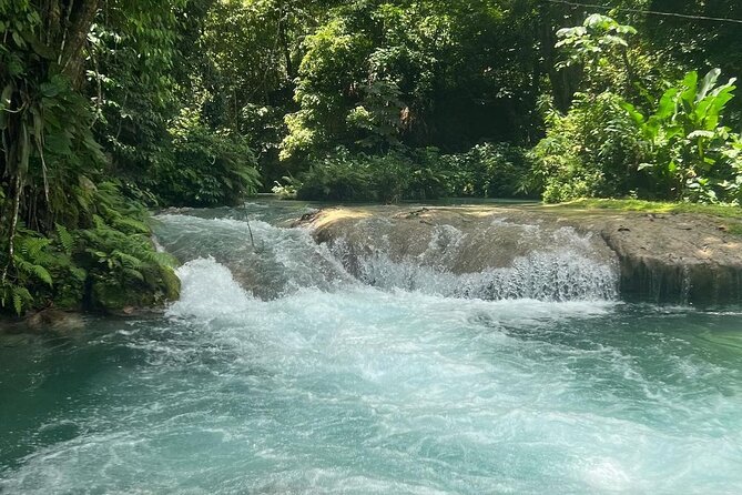 Dunn's River Falls & Blue Hole Tour from Montego Bay - Driver Quality Makes or Breaks the Day