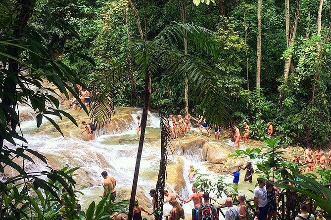 Dunn's River Falls & Blue Hole Tour from Montego Bay - Blue Hole: Swimming, Jumping, and Lifeguard-Style Support