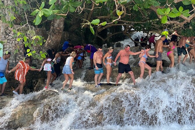 Dunn's River Falls Climb and Beach Include Entry Fee (ᵔᵕᵔ) - Price and tickets: the one detail you must confirm