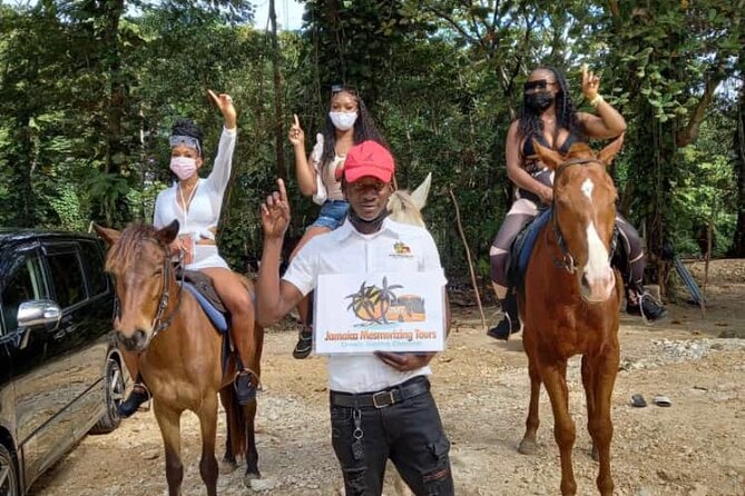 Dunn's River Falls Climb, Zipline and Horseback Riding Private Tour - Private A/C transport from Montego Bay and Negril: why this format is worth it