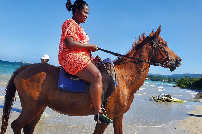 Dunn's River Falls Climb, Zipline and Horseback Riding Private Tour - Price and value: what $295 per person really buys