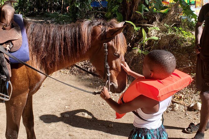 Dunn's River Falls Climb, Zipline and Horseback Riding Private Tour - The real itinerary flow: falls first, then zipline and the beach ride