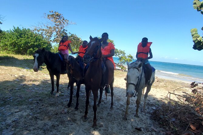 Dunn's River Falls Climb, Zipline and Horseback Riding Private Tour - Ziplining over the canopy: the safety routine you should respect