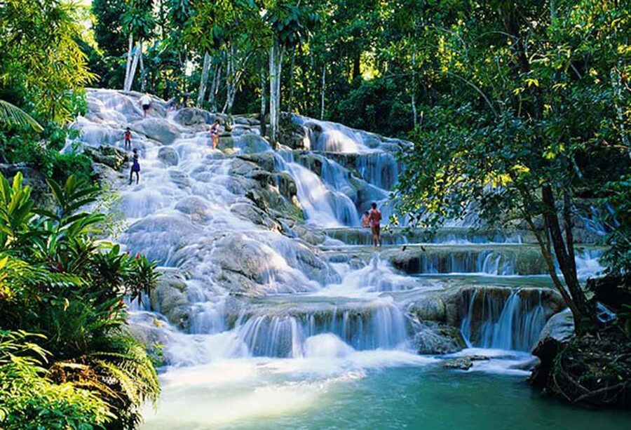 Dunn's River Falls Day Tour - Getting to Ocho Rios fast: what “private” really buys you