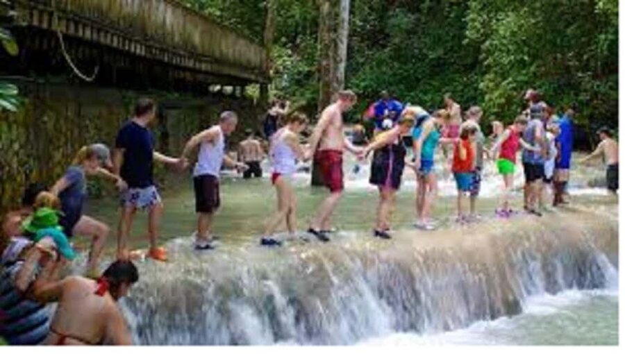 Dunn's River Falls Day Tour - Who should book this Dunn’s River Falls day tour